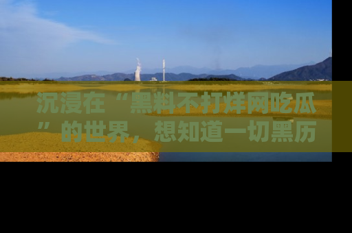 沉浸在“黑料不打烊网吃瓜”的世界，想知道一切黑历史与内幕信息的网站！