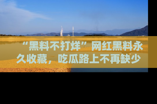“黑料不打烊”网红黑料永久收藏,吃瓜路上不再缺少惊喜与乐趣
