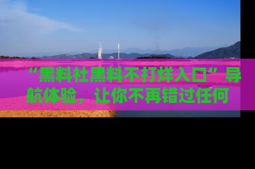 “黑料社黑料不打烊入口”导航体验,让你不再错过任何精彩黑料