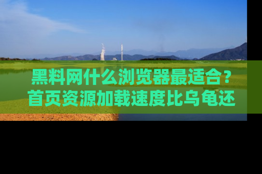 黑料网什么浏览器最适合？首页资源加载速度比乌龟还慢的体验真心吐槽！