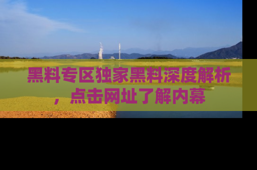 黑料专区独家黑料深度解析，点击网址了解内幕