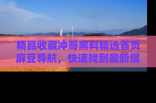 精品收藏冲哥黑料精选首页麻豆导航，快速找到最新爆料