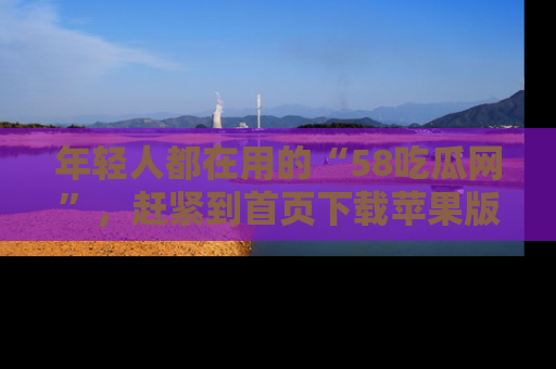 年轻人都在用的“58吃瓜网”,赶紧到首页下载苹果版吧!