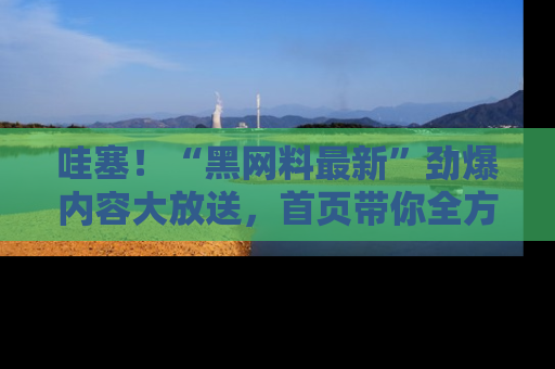 哇塞!“黑网料最新”劲爆内容大放送,首页带你全方位了解哦,小可爱们