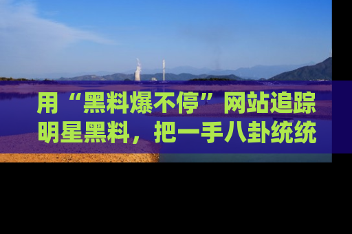 用“黑料爆不停”网站追踪明星黑料,把一手八卦统统收进你的后宫中!