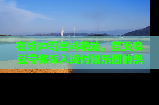 在线冲哥黑料精选,首页麻豆带你深入探讨娱乐圈的黑暗面