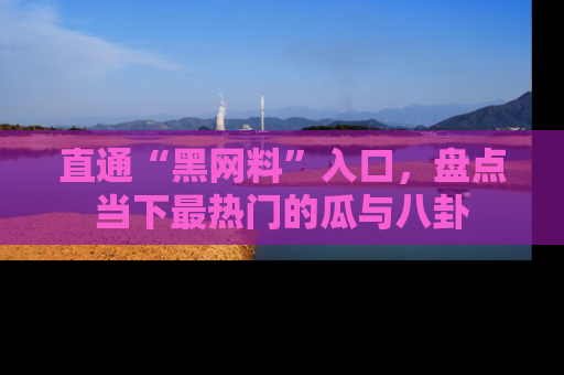 直通“黑网料”入口,盘点当下最热门的瓜与八卦