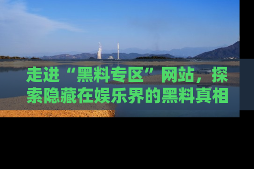 走进“黑料专区”网站,探索隐藏在娱乐界的黑料真相